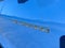 2025 Chevrolet Colorado 4WD Trail Boss