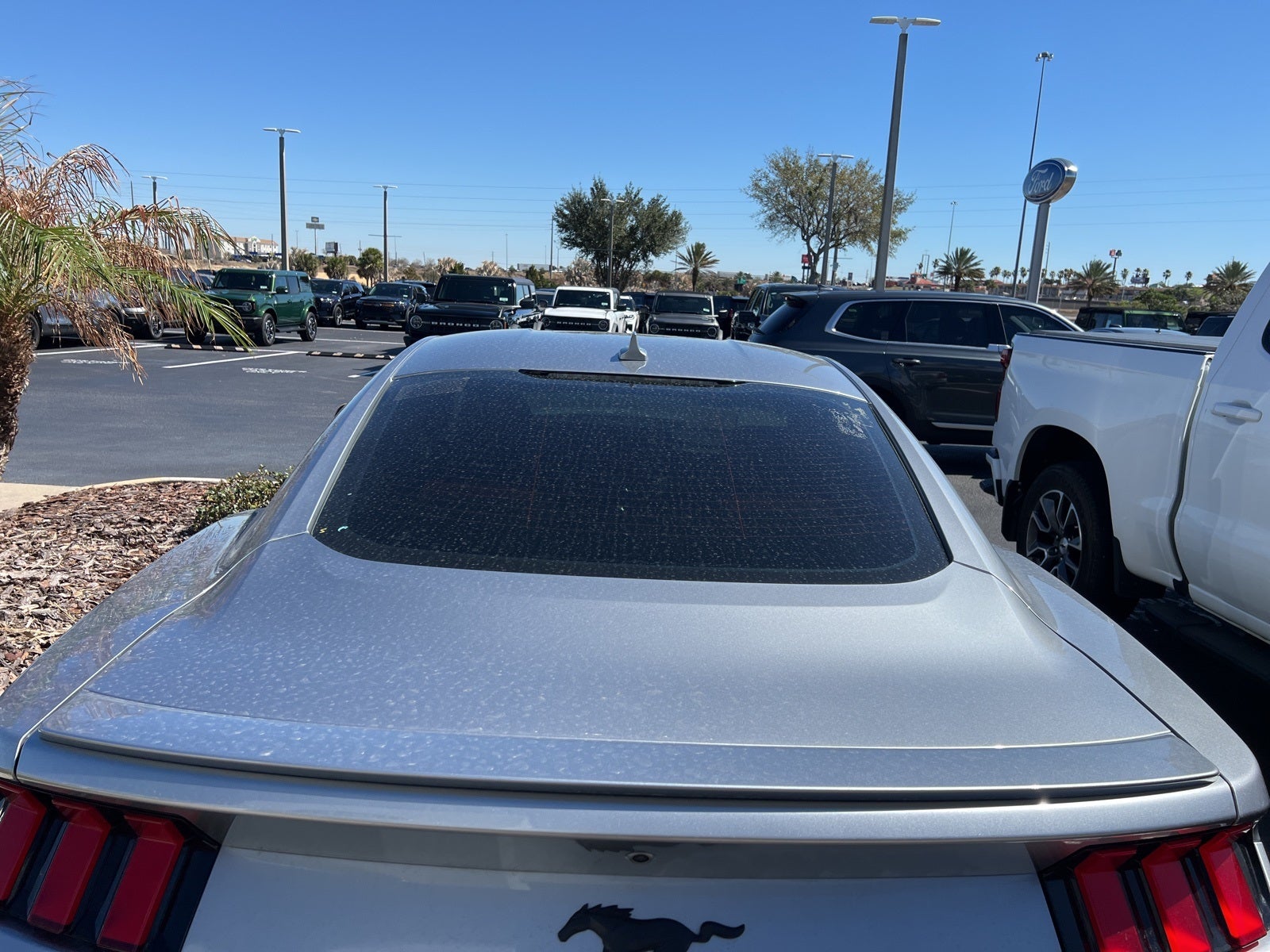 2024 Ford Mustang EcoBoost Premium