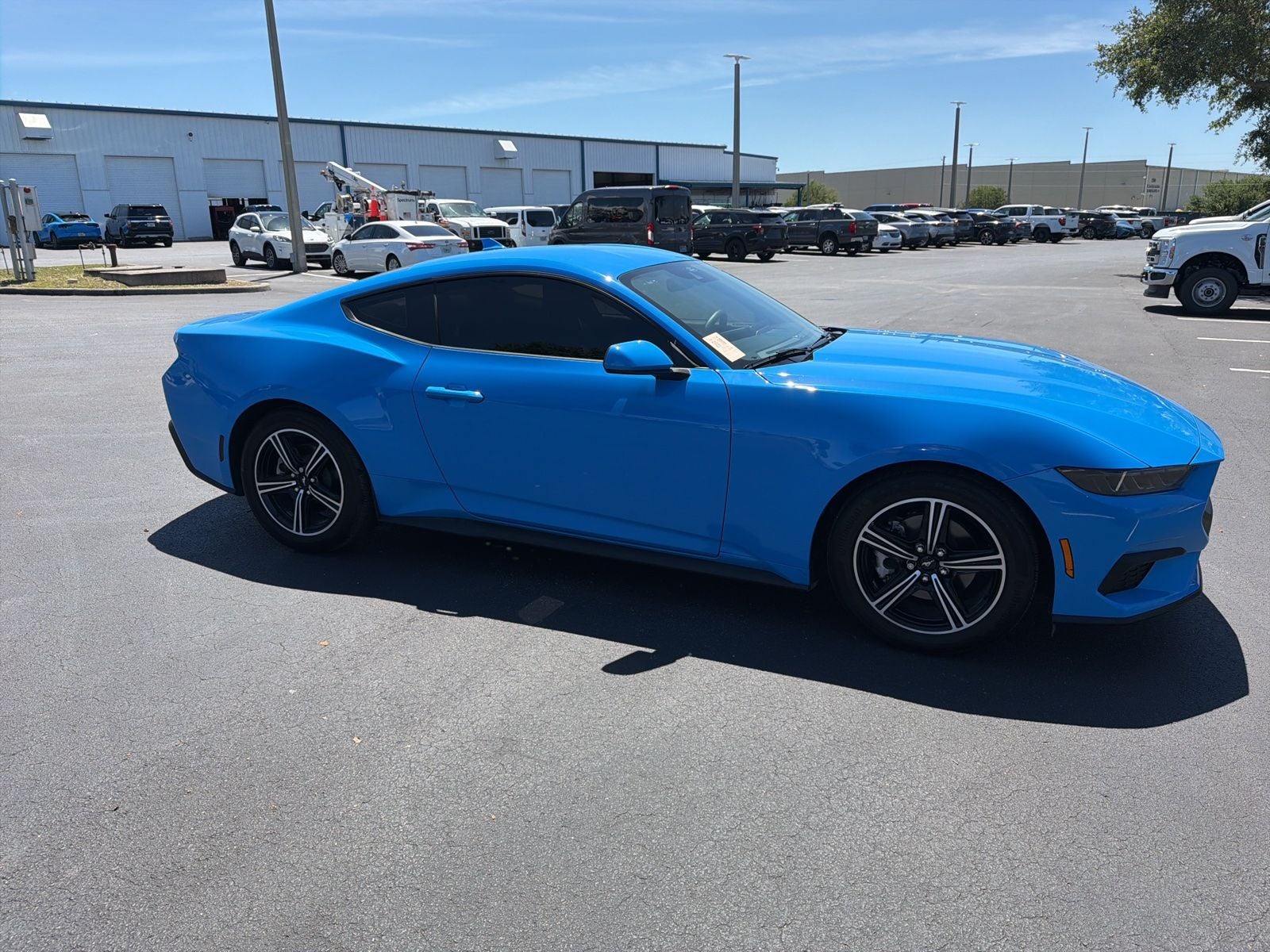 2025 Ford Mustang EcoBoost