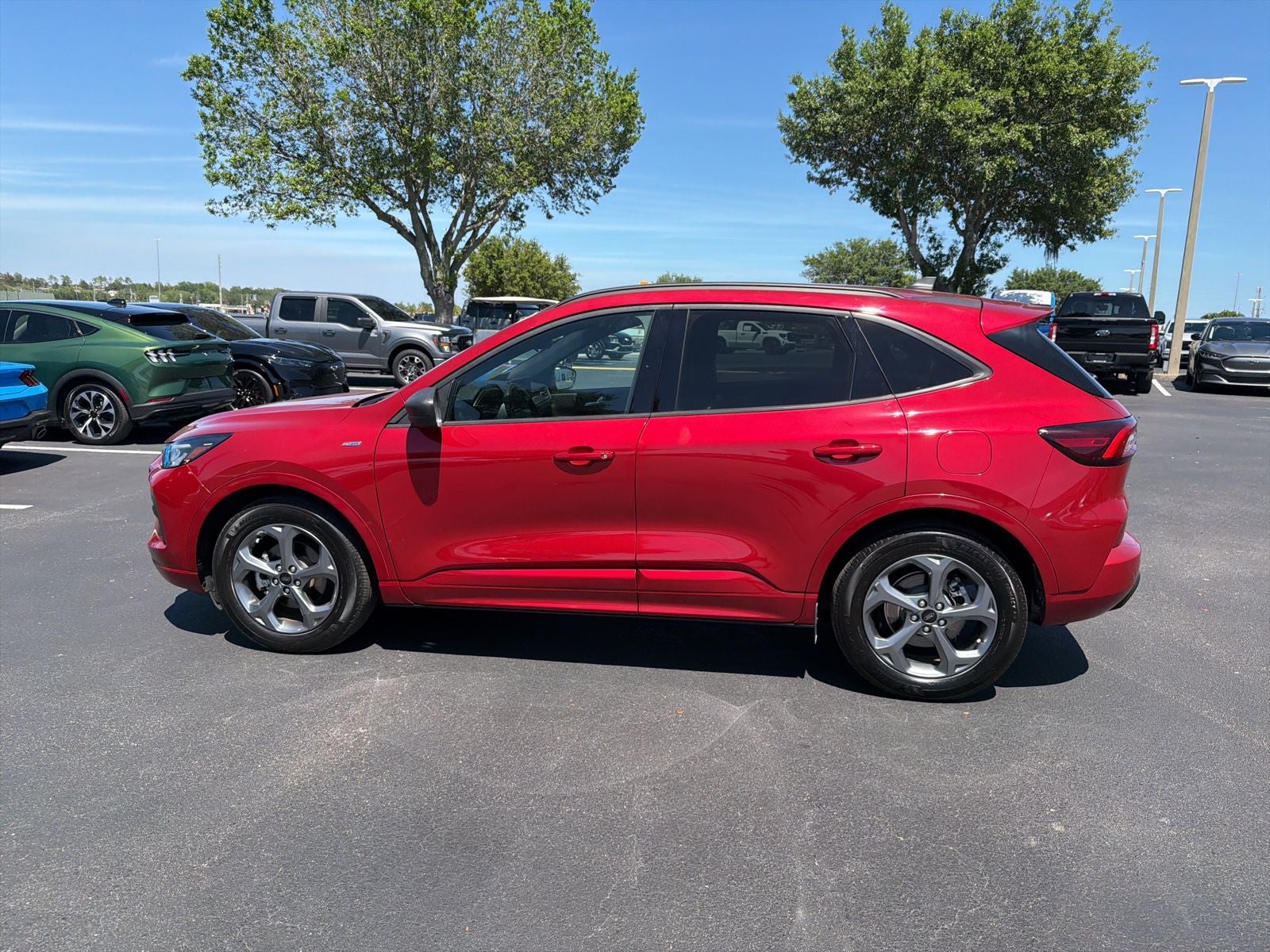 2024 Ford Escape ST-Line