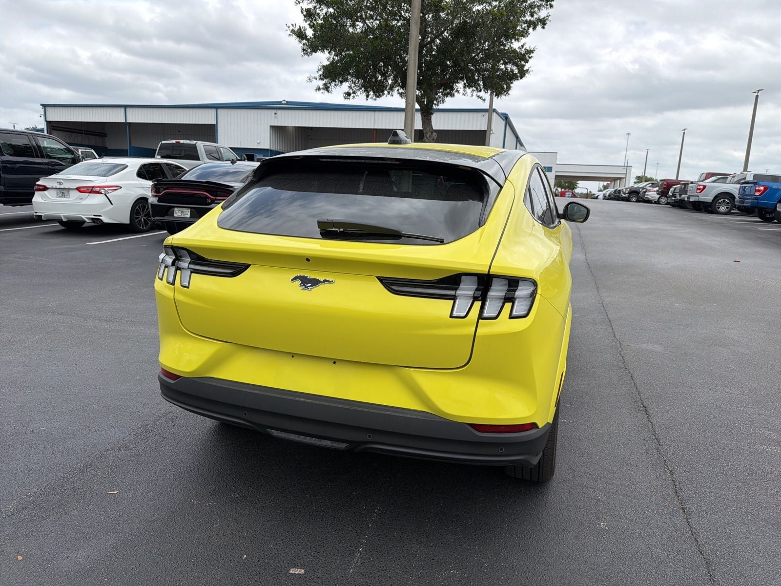 2025 Ford Mustang Mach-E Premium